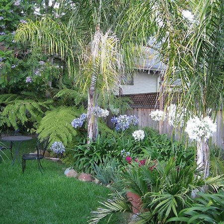 A White Jasmine Inn ซานตาบาร์บารา ภายนอก รูปภาพ